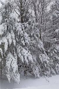 2019 Daily Planner Winter Breathtaking Snow Photo 384 Pages