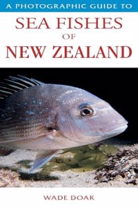 Photographic Guide to Sea Fishes of New Zealand