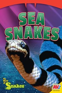 Sea Snakes