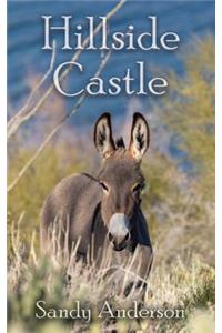 Hillside Castle