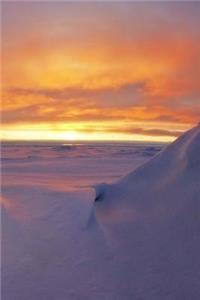 The Arctic Ocean Notebook