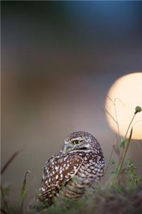 Brown Owl and the Moon Journal