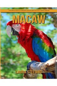 Macaw