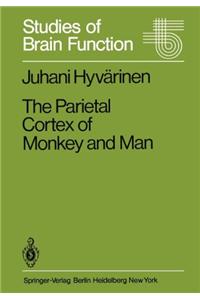 The Parietal Cortex of Monkey and Man