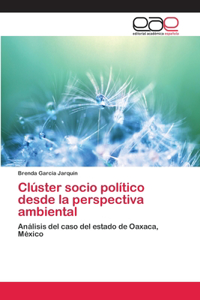 Clúster socio político desde la perspectiva ambiental