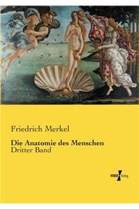 Die Anatomie des Menschen