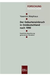 Der Geburteneinbruch in Ostdeutschland nach 1990