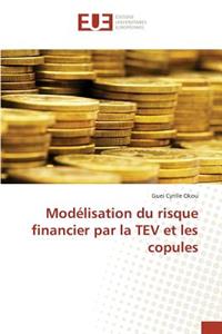 Modélisation du risque financier par la TEV et les copules