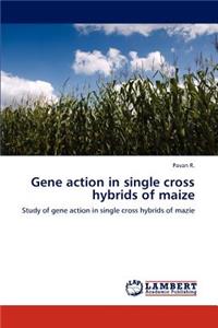Gene action in single cross hybrids of maize