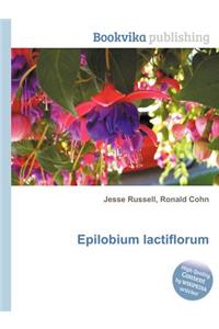 Epilobium Lactiflorum