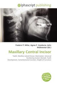 Maxillary Central Incisor