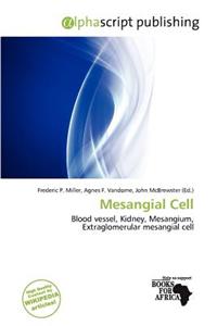 Mesangial Cell