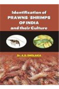 Identification of Prawns/Shrimps and Their Culture
