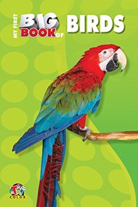 My First Big Book - Birds