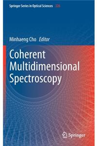 Coherent Multidimensional Spectroscopy