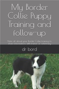 My Border Collie Puppy Training and follow-up