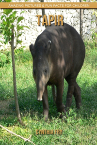 Tapir