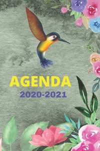 Agenda 2020-2021