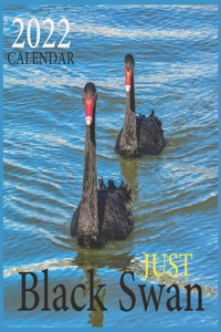 Just Black Swan CALENDAR 2022
