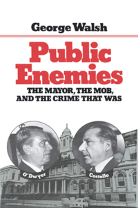 Public Enemies