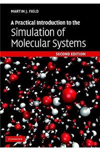 Practical Introduction to the Simulation of Molecular Systems