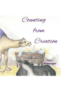 Counting from Creation