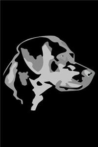 Labrador