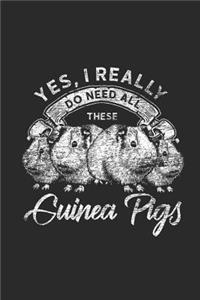 Yes I Really Do Need All These Guinea Pigs