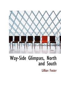 Way-Side Glimpses, North and South