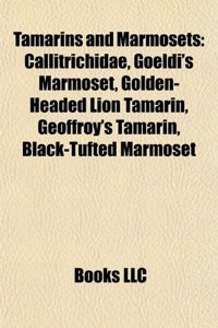Tamarins and Marmosets: Callitrichidae, Goeldi's Marmoset, Golden-Headed Lion Tamarin, Geoffroy's Tamarin, Black-Tufted Marmoset