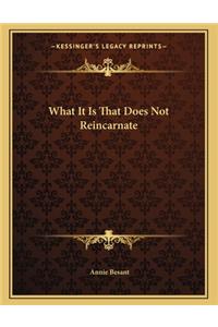 What It Is That Does Not Reincarnate