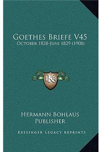 Goethes Briefe V45