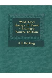Wild-Fowl Decoys in Essex