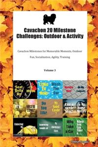 Cavachon 20 Milestone Challenges