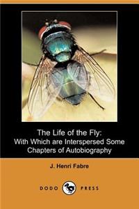 Life of the Fly