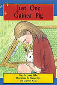 Just One Guinea Pig