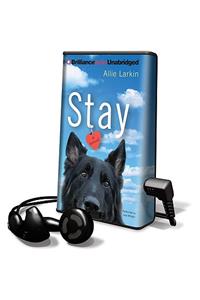 Stay