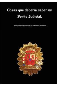 Cosas que debería saber un Perito Judicial. COSAS QUE DEBERIA SABER TODO PERITO JUDICIAL.