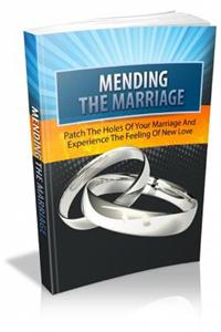 Mending the Marriage