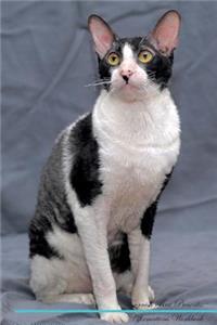 Cornish Rex Affirmations Workbook Cornish Rex Presents