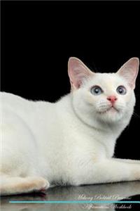 Mekong Bobtail Affirmations Workbook Mekong Bobtail Presents