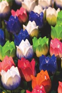 Tulips from Amsterdam Holland Netherlands Journal
