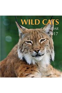 Wild Cats Calendar 2017