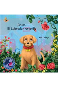 Bruno, El Labrador Amarillo