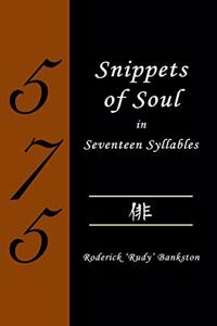 Snippets of Soul in Seventeen Syllables