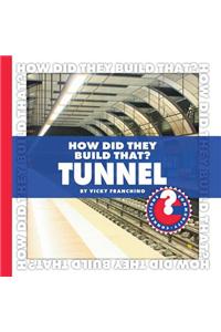 How Did They Build That? Tunnel