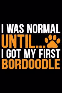 I Was Normal Until I Got My First Bordoodle