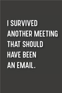 I Survived Another Meeting That Should Have Been An Email.
