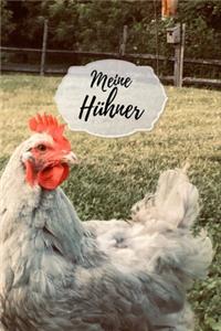 Meine Hühner