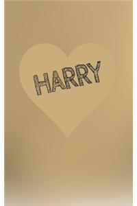 Harry - Folding Coloring Book